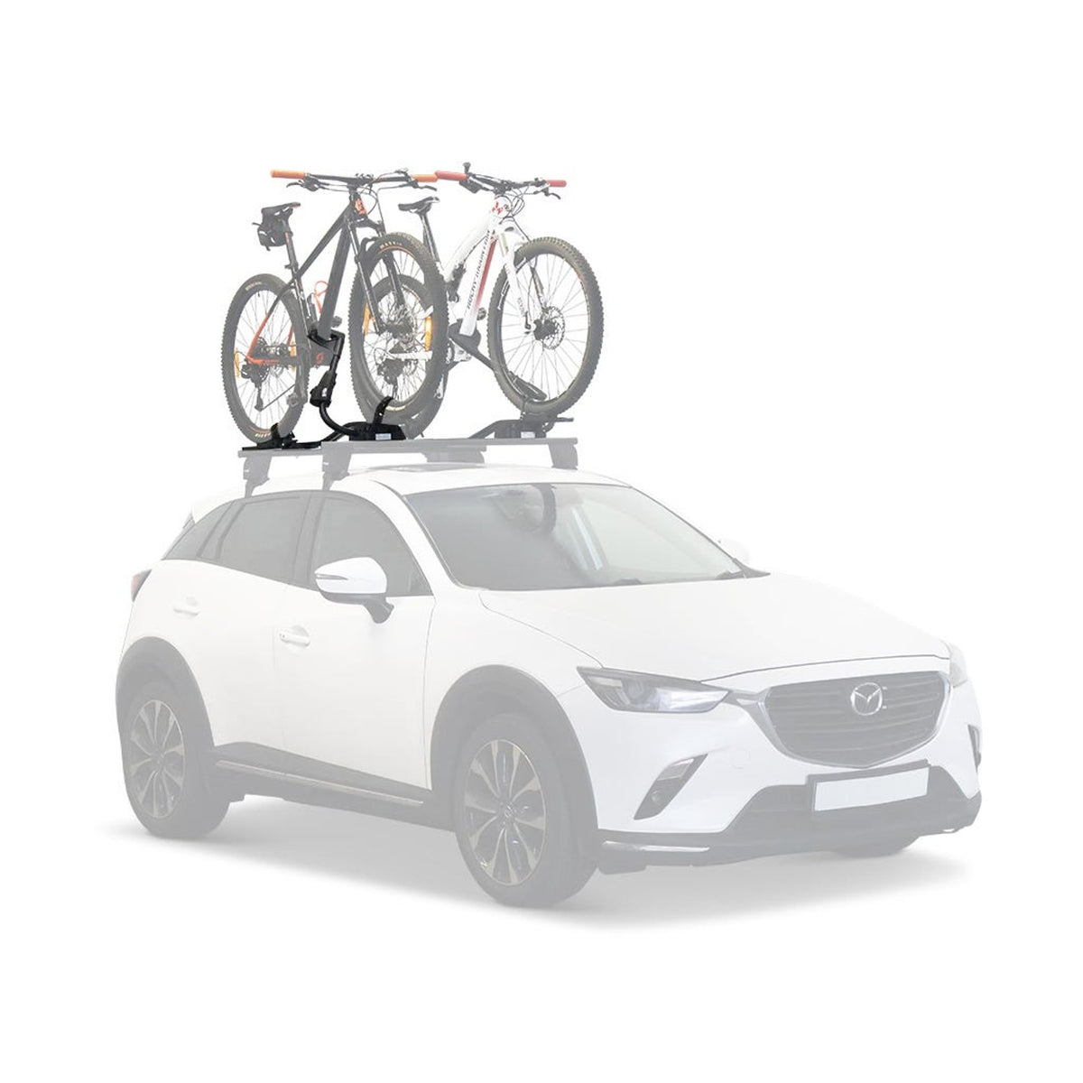 Dometic Motus Bike Mount Black